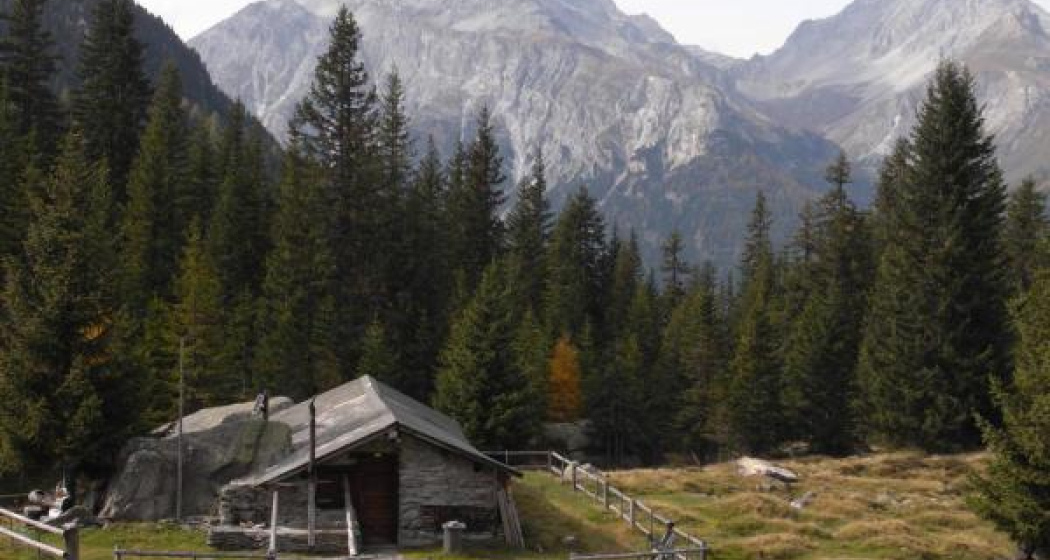 Schwarzwaldalp Schwarzwaldalp