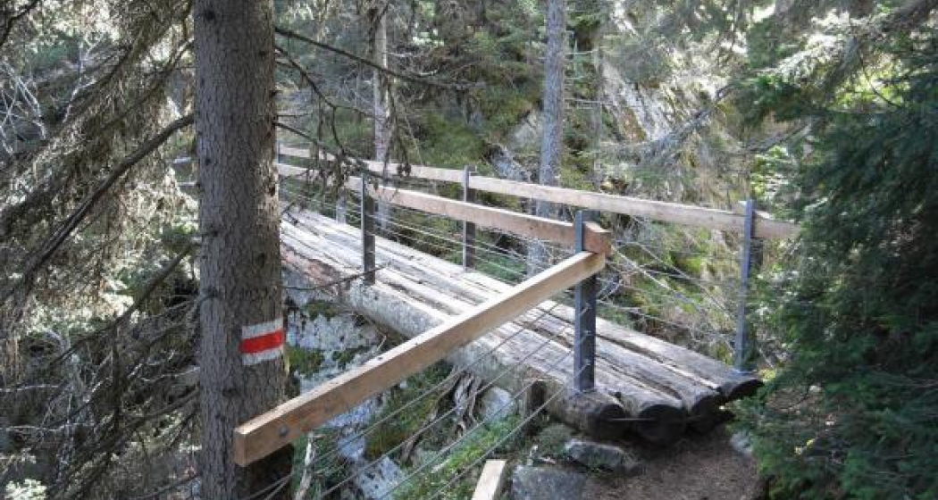 Göriwald Göriwald