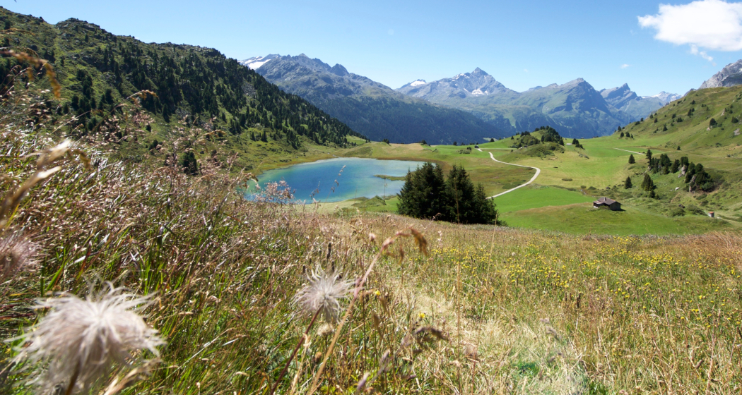 Lai da Vons Lai da Vons