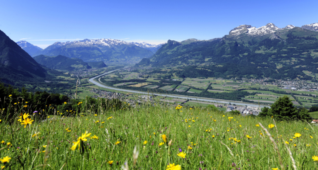 Bergsommer Bergsommer