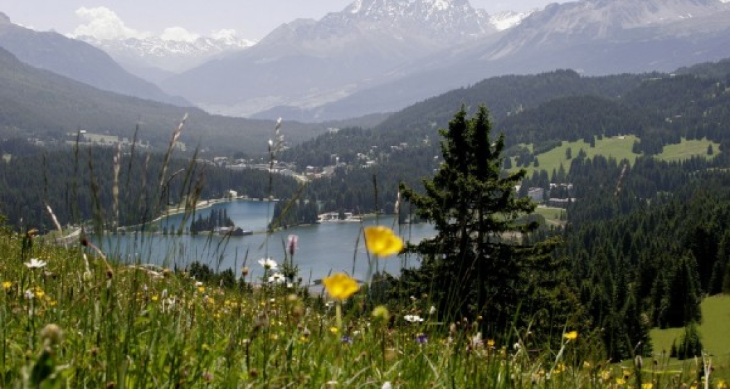 Entlang des Heidsee zurück nach Lenzerheide Entlang des Heidsee zurück nach Lenzerheide