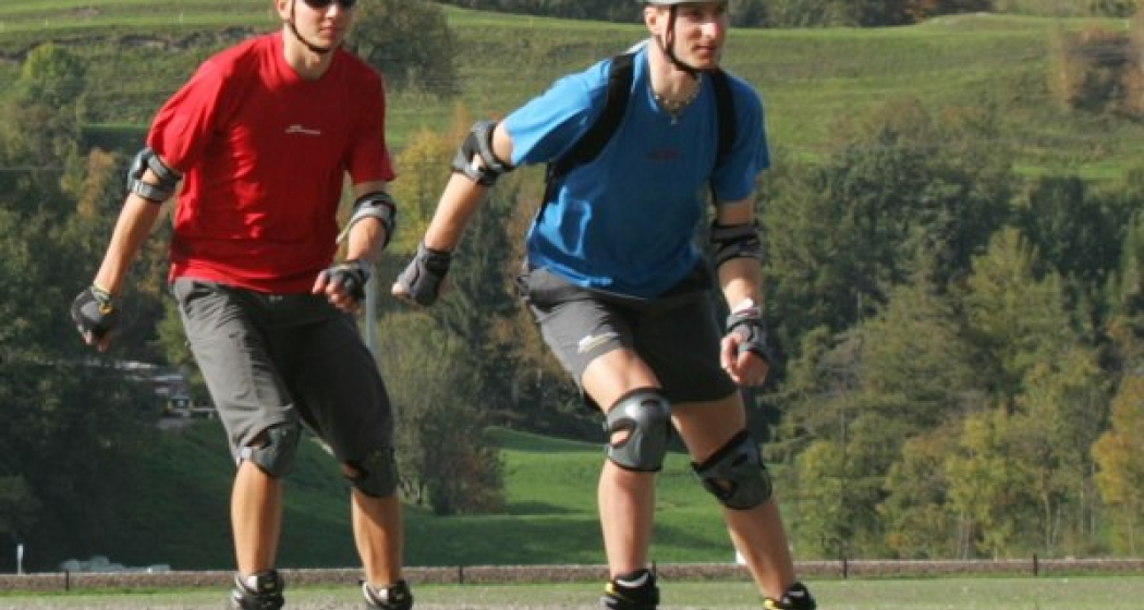 Heidiland Skate Nr. 53 Heidiland Skate Nr. 53