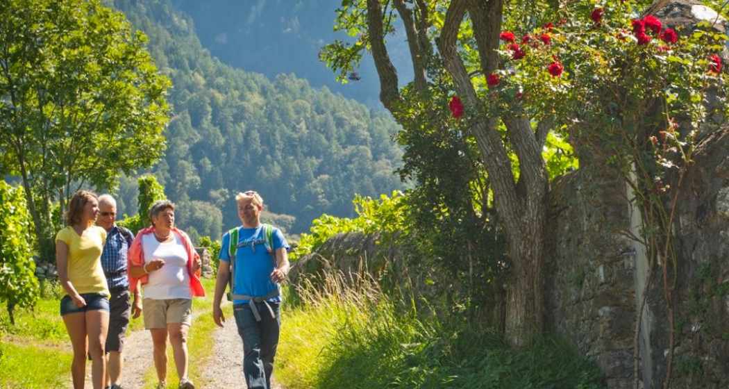 Wanderung in der Bündner Herrschaft Wanderung in der Bündner Herrschaft