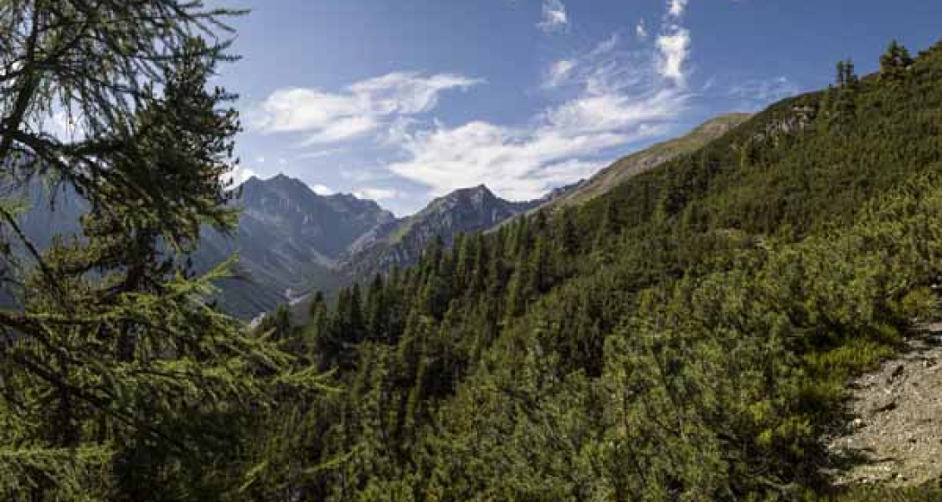 Val Cluozza Val Cluozza