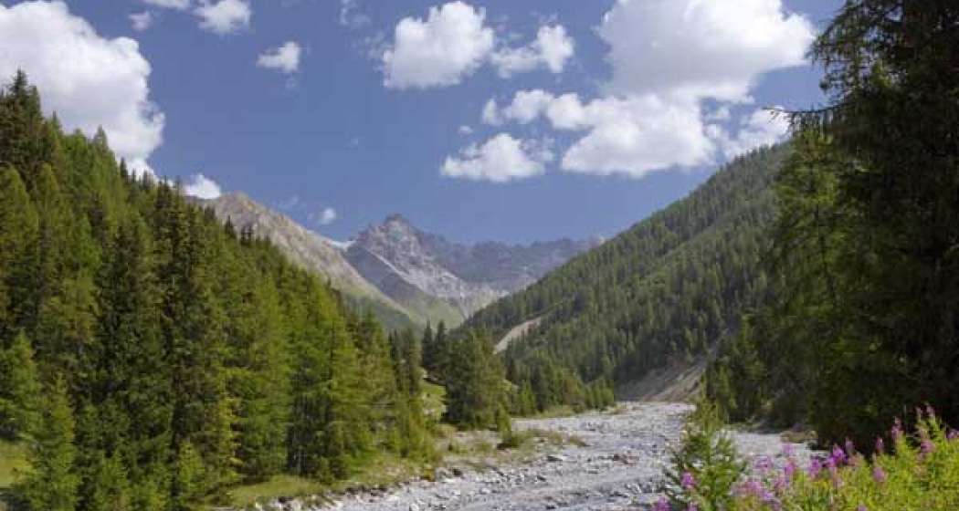 Oberhalb des Val Cluozza Oberhalb des Val Cluozza