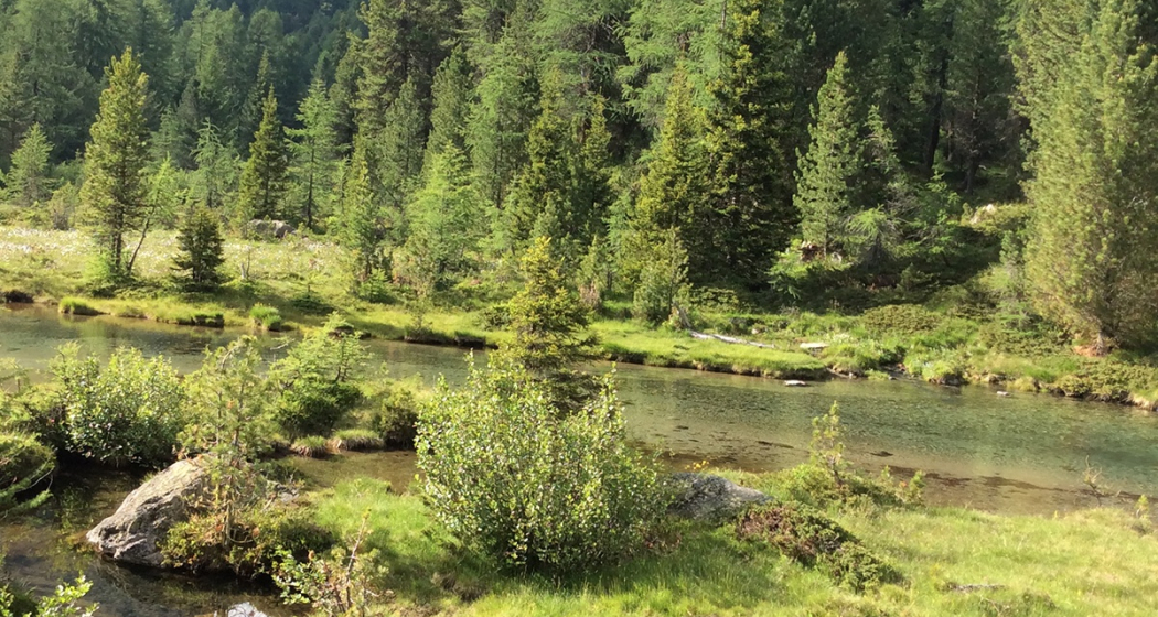 Poz da Rügiul Poz da Rügiul