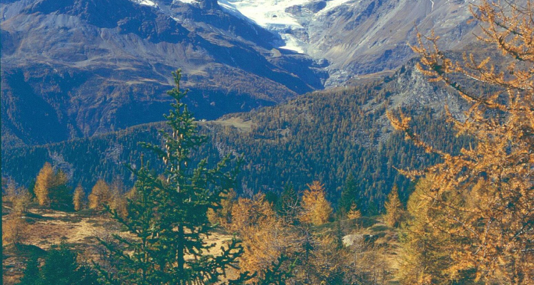 Aura Freida mit Bergpanorama Aura Freida mit Bergpanorama