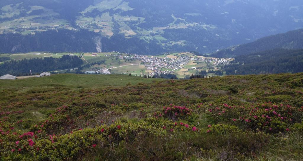 Aussicht auf Brigels Aussicht auf Brigels