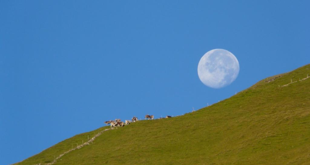 Vollmond Vollmond