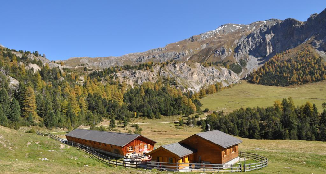Lü - Alp Champatsch - Lü (oua_23546716_image) Lü - Alp Champatsch - Lü (oua_23546716_image)
