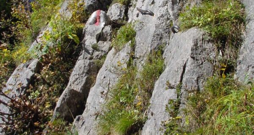 Einstieg Sitzstein, sehr schöne Kletterstelle Einstieg Sitzstein, sehr schöne Kletterstelle