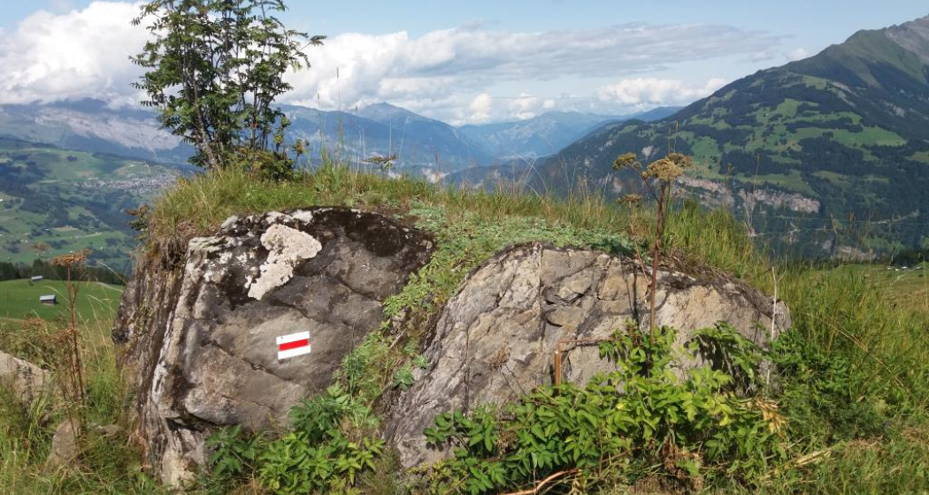 Ils praus pussents - Die mächtigen Wiesen Ils praus pussents - Die mächtigen Wiesen