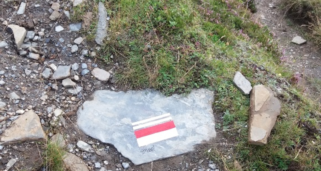 Melli horizonts - Tausend Horizonte (oua_23951017_image)