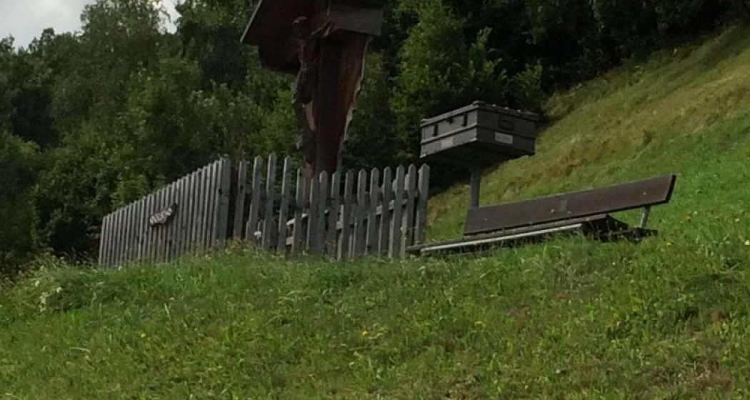 Lesebank La Crusch, Dardin