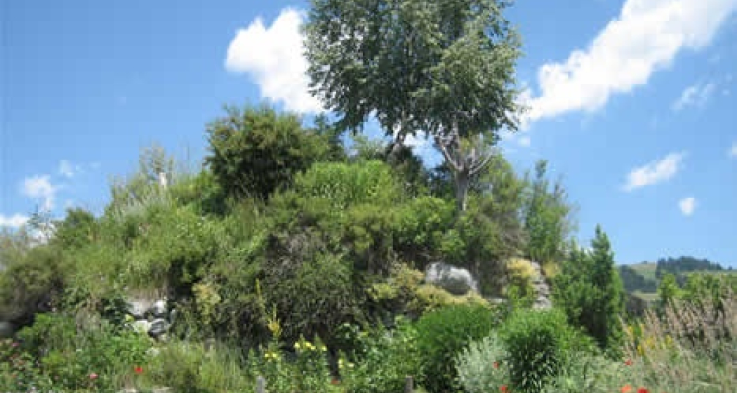 Burgruine Marmarola, Brigels (oua_23982508_image) Burgruine Marmarola, Brigels (oua_23982508_image)