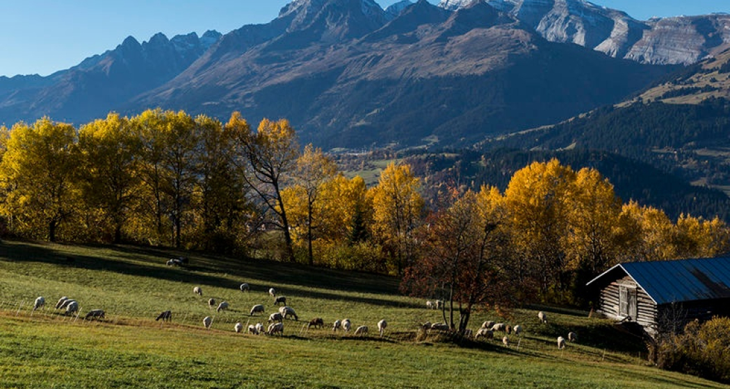 Panorama Camping, Surcuolm