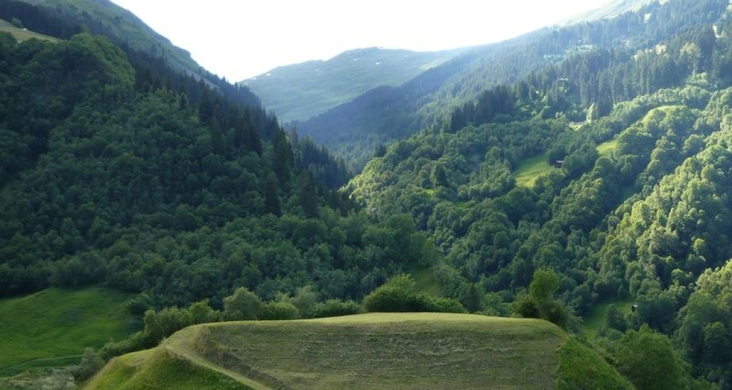 Bronzezeitlicher Hütel Crestaulta