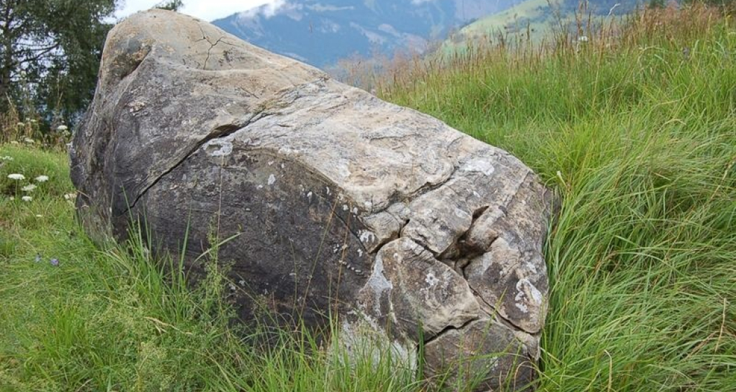 Kommunikationsstein Kommunikationsstein