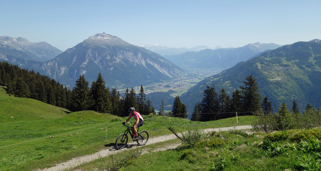 Auf der Rhäzünser Alp Auf der Rhäzünser Alp