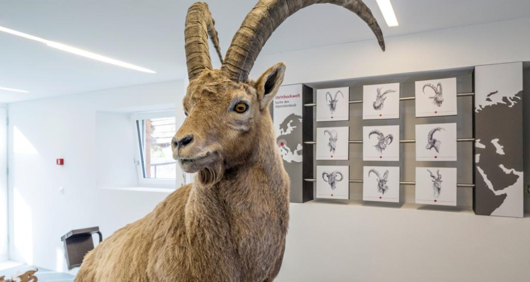 Capricorn Ausstellung Capricorn Ausstellung
