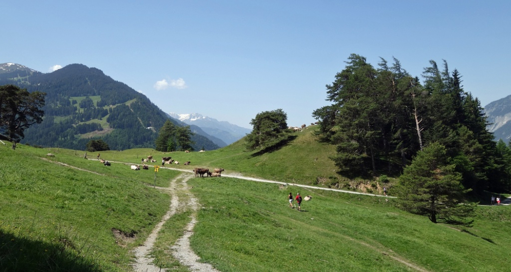 Mittenberg - beliebtes Churer Ausflugsziel