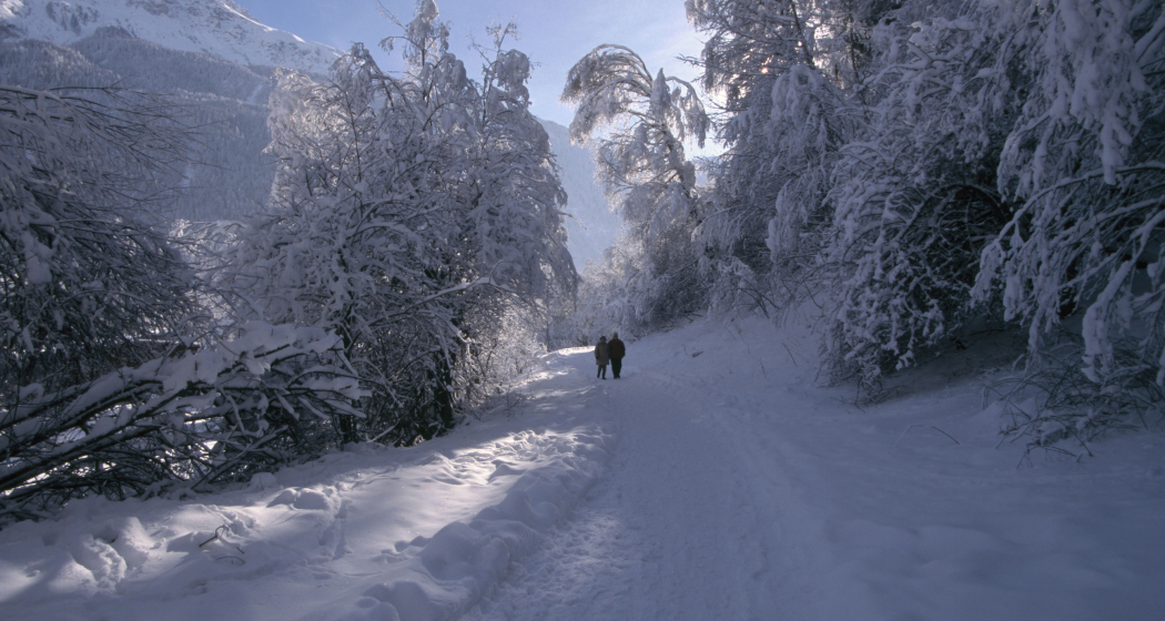 Winterwanderweg Winterwanderweg
