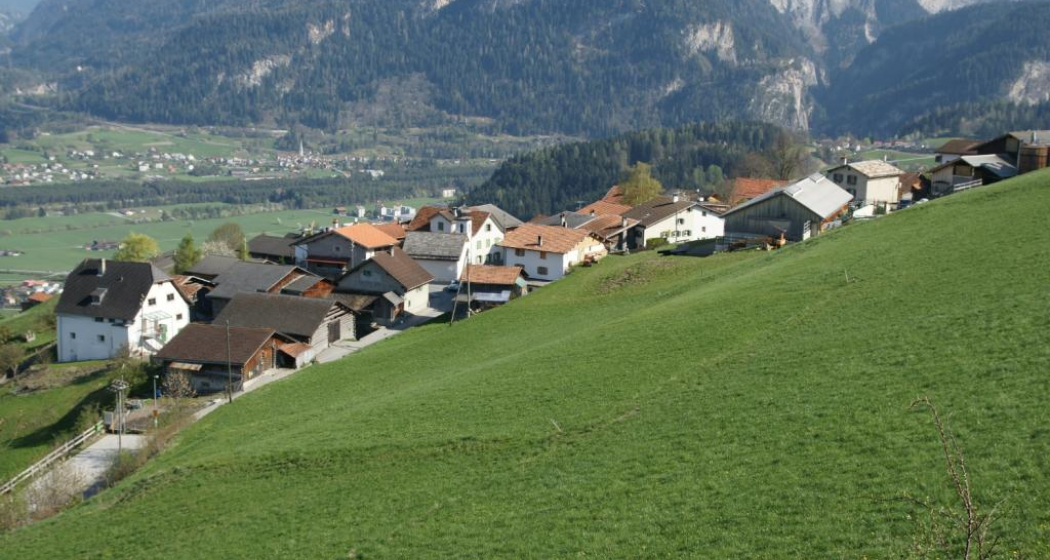 Tartar im Sommer Tartar im Sommer