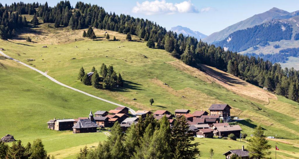 Mutten im Sommer Mutten im Sommer