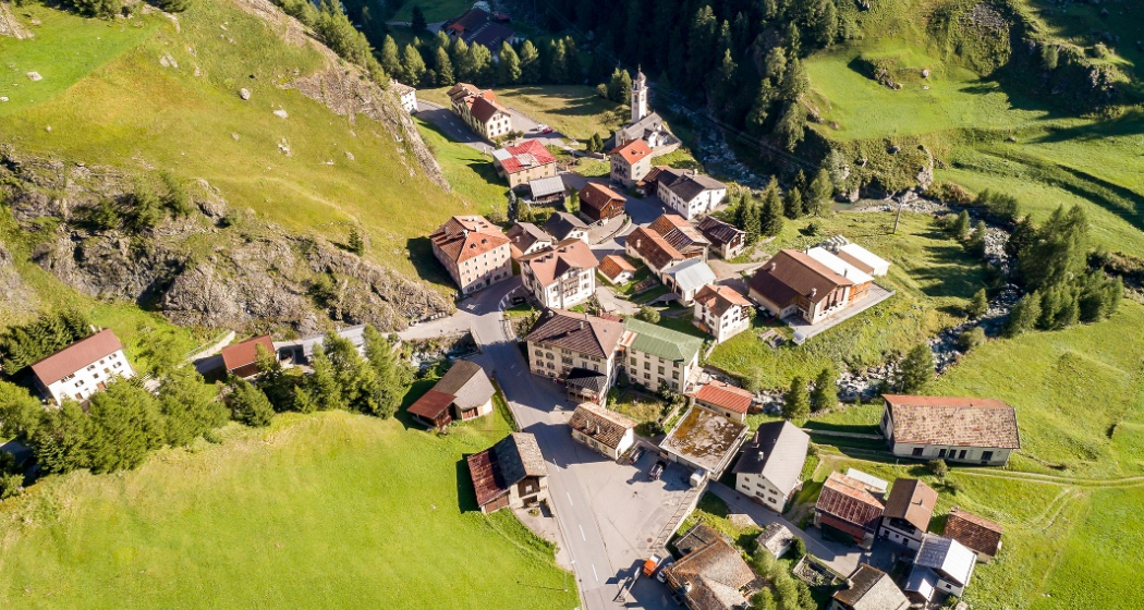 Mulegns (oua_25025589_image)