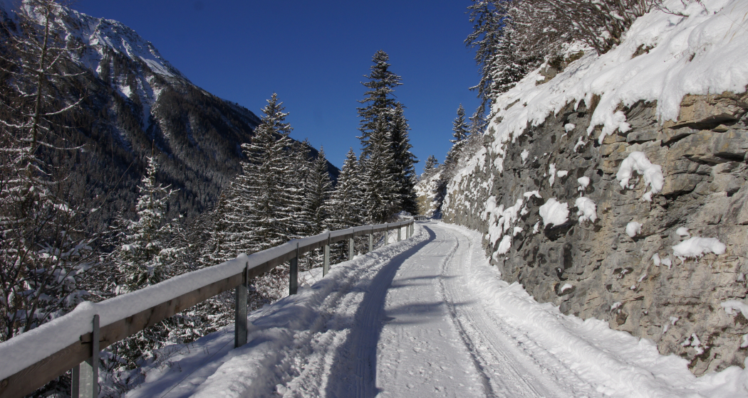 217 Bergün - Latsch - Stuls (oua_25241011_image) 217 Bergün - Latsch - Stuls (oua_25241011_image)