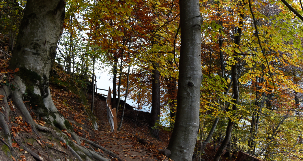 Runchett da Sotsassa