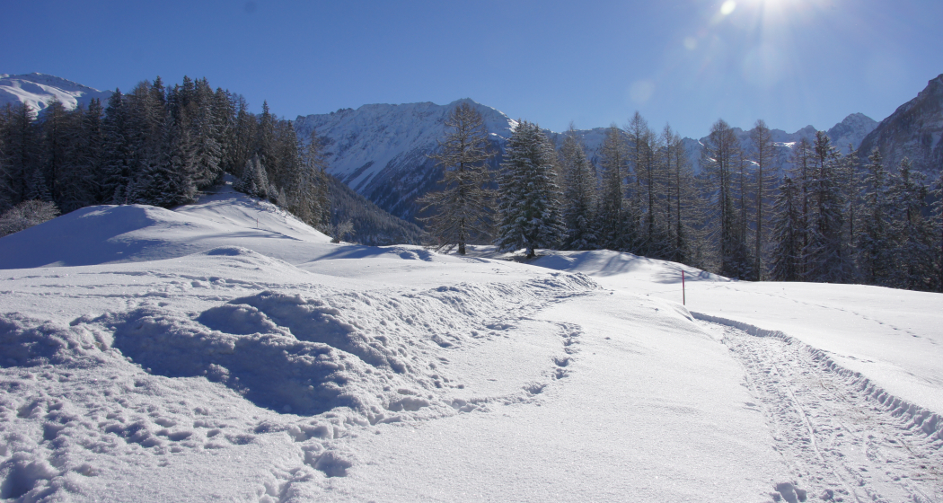Latscher Panoramaweg (oua_25269561_image)