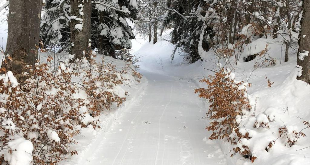 Winterwanderweg Fanas Winterwanderweg Fanas