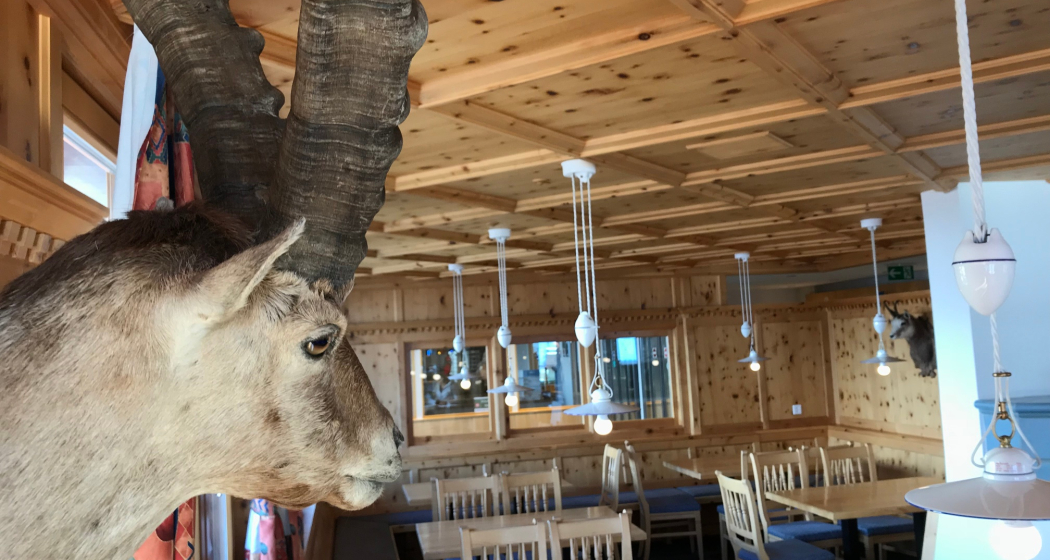 Restaurant Alp Trida Pizza & SB 3.0