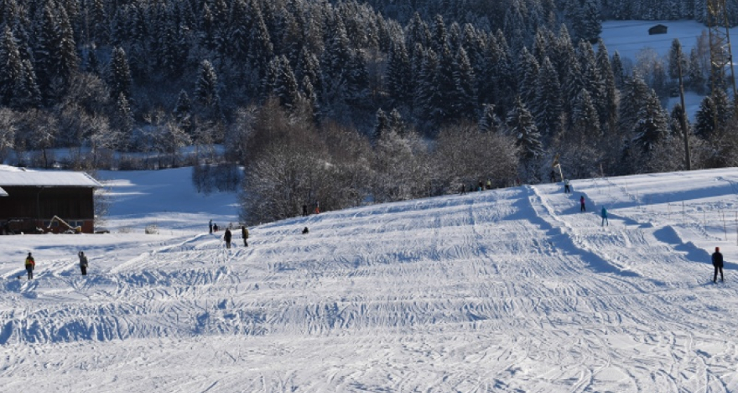 Skilift Pieinas, Castrisch (oua_25283531_image) Skilift Pieinas, Castrisch (oua_25283531_image)