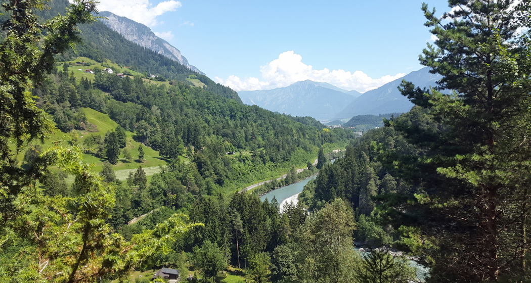Ausblick auf den Rhein und den Wanderweg