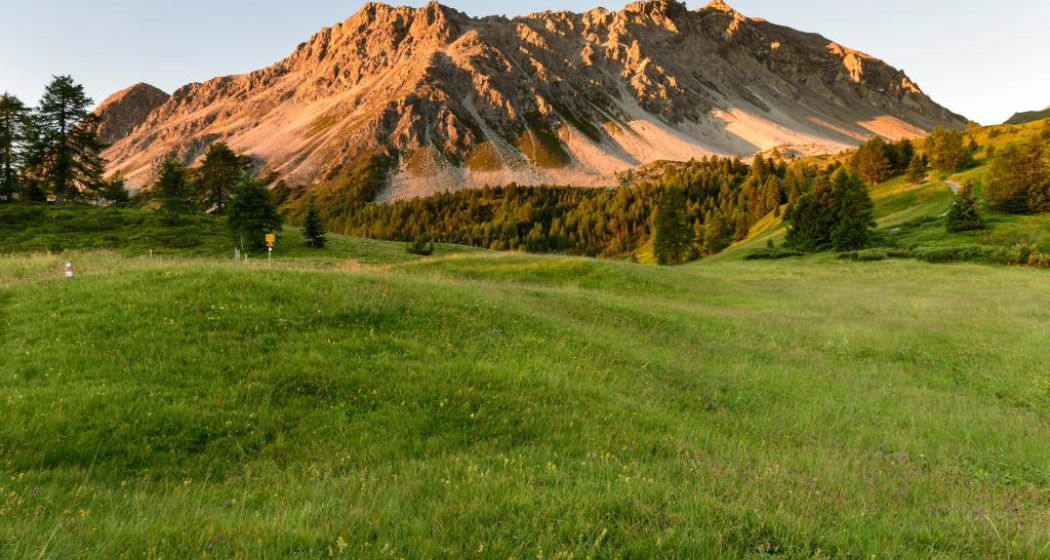 Munter - Ziteil - Andeer (oua_25490306_image)