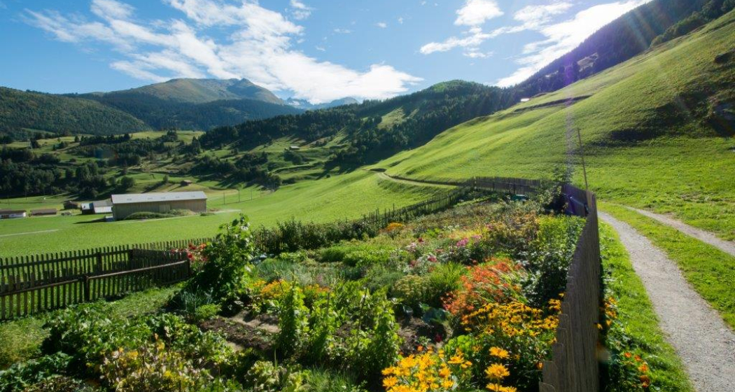 Von Segnas Richtung Sedrun Von Segnas Richtung Sedrun
