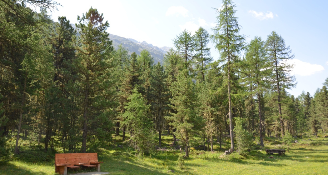 Entspannen im Val Roseg Entspannen im Val Roseg
