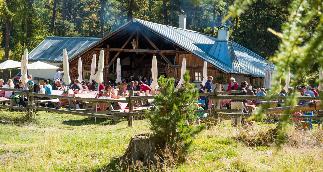Alp-Schaukäserei Morteratsch Alp-Schaukäserei Morteratsch