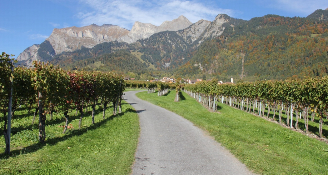 Weinregion Bündner Herrschaft