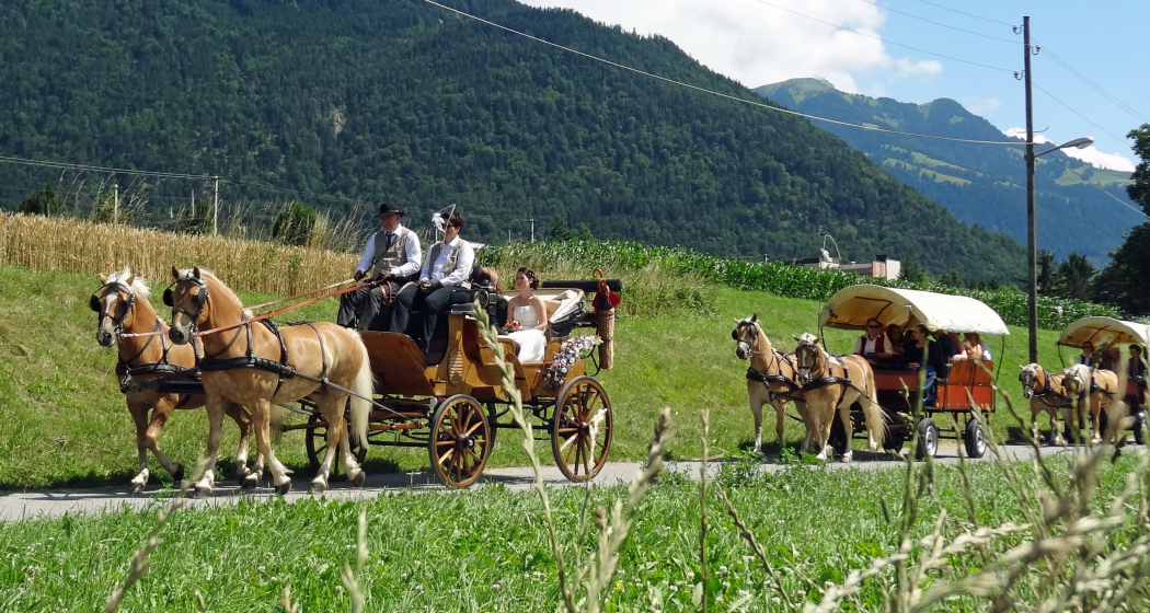 Kutschenfahrten Scalärahof