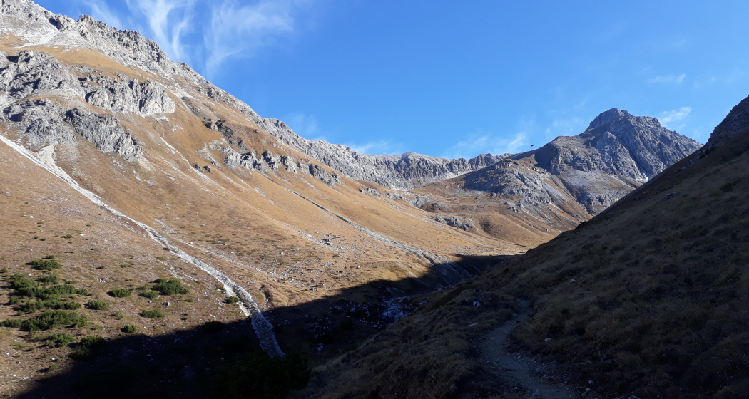 Muot Surrent (oua_27126727_image)