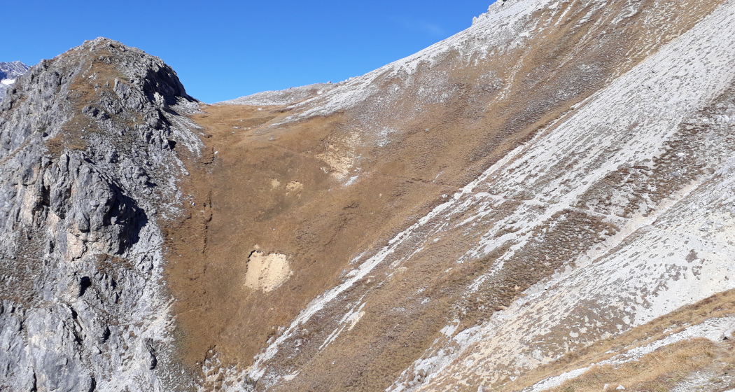 Muot Surrent (oua_27126729_image)