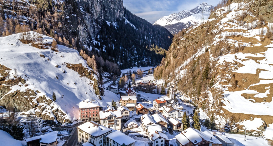 Mulegns (oua_27378903_image)