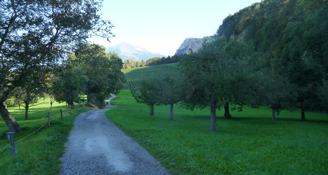 Breiter Kiesweg von Trimmis in Richtung Malans Breiter Kiesweg von Trimmis in Richtung Malans