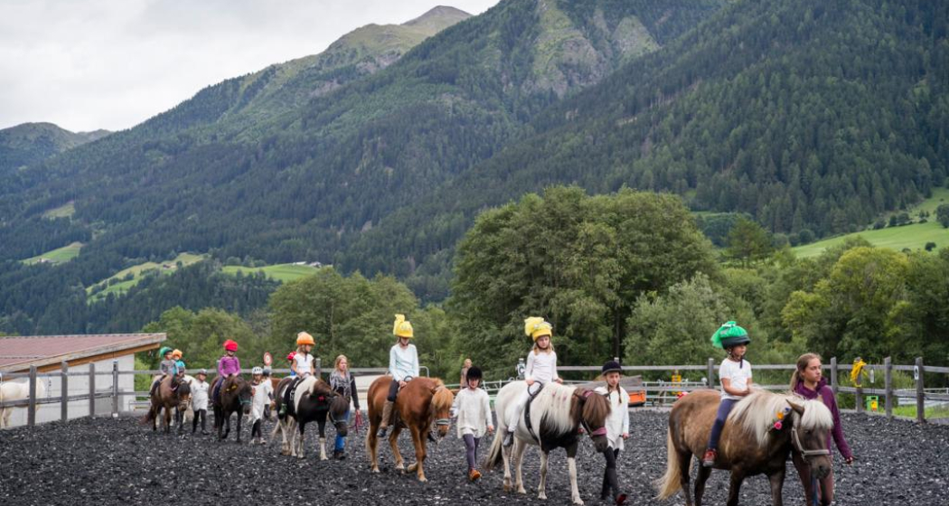 Reitschule Iris Hauschild - Fokus Mensch-Pferd (oua_27608854_image)