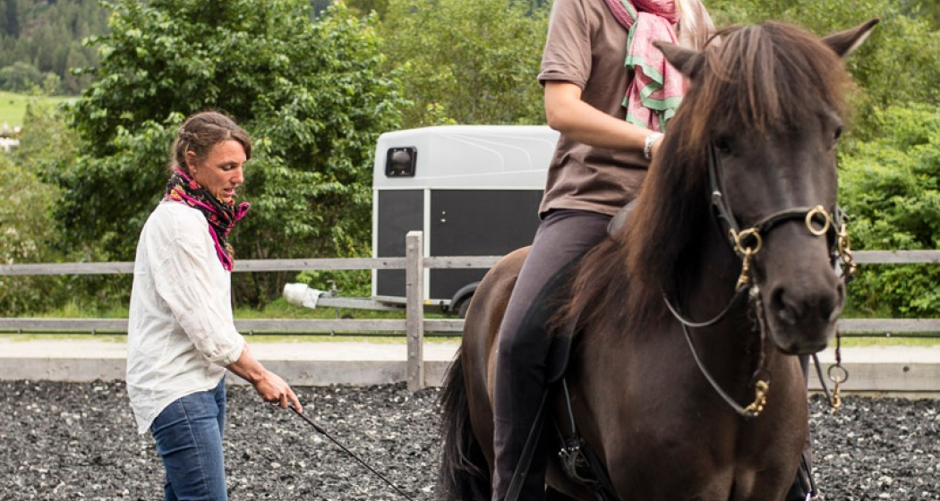 Reitschule Iris Hauschild - Fokus Mensch-Pferd (oua_27608860_image)