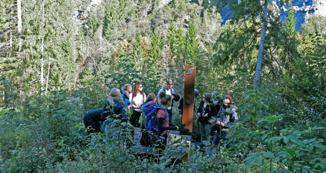 faszinaturWeg Gruppe faszinaturWeg Gruppe