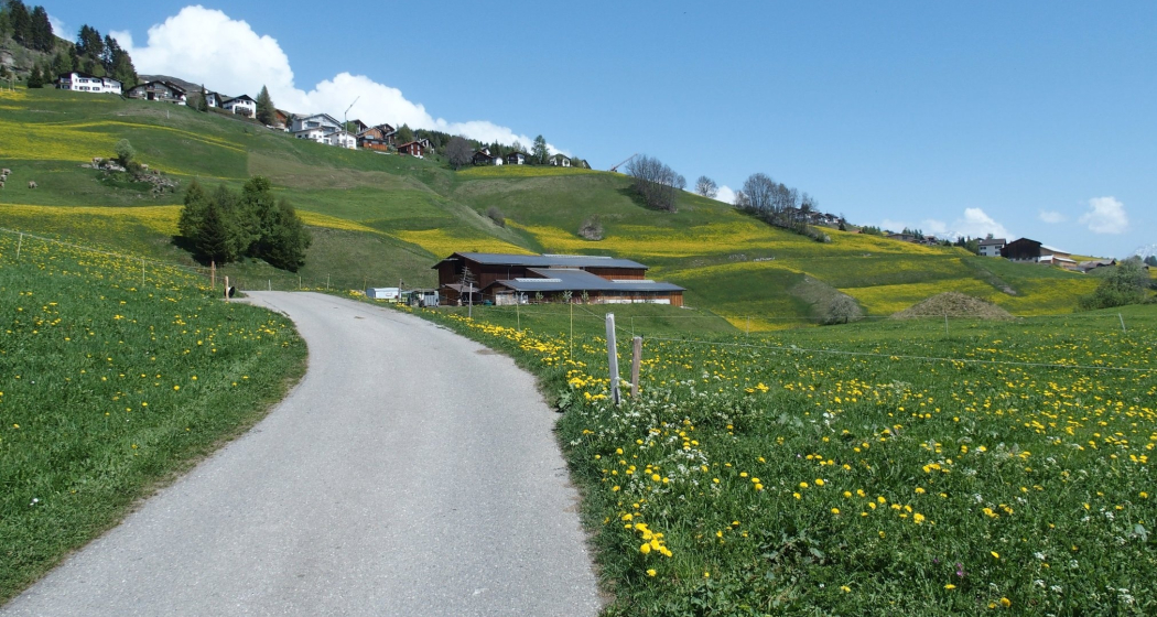 Rundwanderung Vella - Morissen (oua_28192845_image)